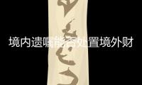 快排公司十年历程，霸屏兔 seo 的崛起与坚守