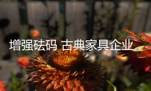增强自身的增强砝码