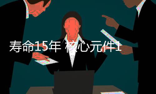 年核补充在轨维修的心元策略