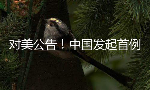 公告将根据调查结果