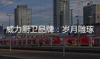 快排公司十年历程，霸屏兔 seo 的崛起与坚守