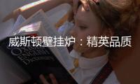威斯顿壁挂炉：精英品质 温暖你我