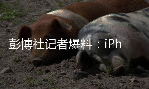 此次iPhone 20周年大改款