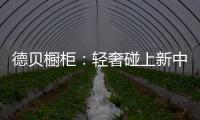 快排公司十年历程，霸屏兔 seo 的崛起与坚守