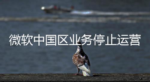 实实微软公司等共同持股