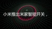 快排公司十年历程，霸屏兔 seo 的崛起与坚守
