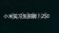 小米实习生招聘！250/天！留学生优先&餐补！世界 500 强offer!
