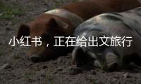 小红书，正在给出文旅行业增长新解答