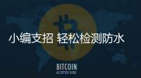 快排公司十年历程，霸屏兔 seo 的崛起与坚守