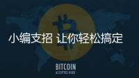 快排公司十年历程，霸屏兔 seo 的崛起与坚守