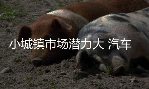 还有能力购买一些奢侈品
