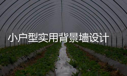 在很多小户型设计中
