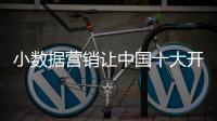 快排公司十年历程，霸屏兔 seo 的崛起与坚守