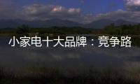 小家电十大品牌：竞争路上 创新先行
