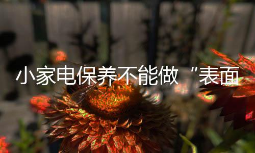 可用白醋与水各半注入水箱