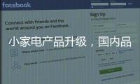 小家电产品升级	
，国内品牌竞争力强
