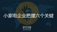 快排公司十年历程，霸屏兔 seo 的崛起与坚守
