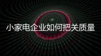 快排公司十年历程，霸屏兔 seo 的崛起与坚守
