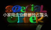 快排公司十年历程，霸屏兔 seo 的崛起与坚守