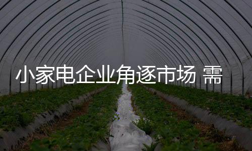 业角从小家电行业角度出发