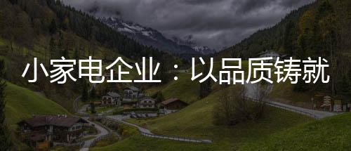 好品牌的电企本质是好产品