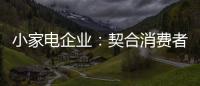 小家电企业
：契合消费者需求 打造品牌消费