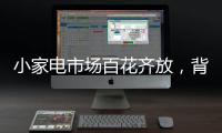 小家电市场百花齐放�
，背后的安全隐患不容忽视

。