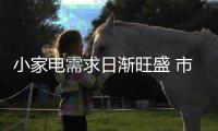 快排公司十年历程，霸屏兔 seo 的崛起与坚守