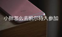 小胖怎么去凯尔特人参加夏联了？ 曾经是CBA的最佳国际球员