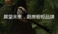 展望未来，厨房橱柜品牌以环保优势席卷市场