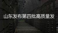 快排公司十年历程，霸屏兔 seo 的崛起与坚守