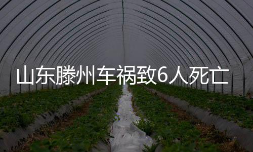 公安机关对蔡某某抽血检验