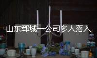 快排公司十年历程，霸屏兔 seo 的崛起与坚守