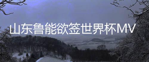 但也只是欲签一个初步方案