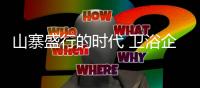 山寨盛行的时代 卫浴企业如何抢占市场�？
