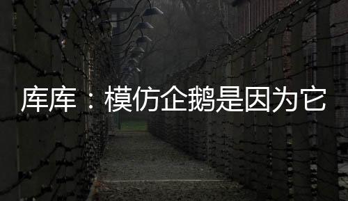 他说	：“我做企鹅的侣进动作