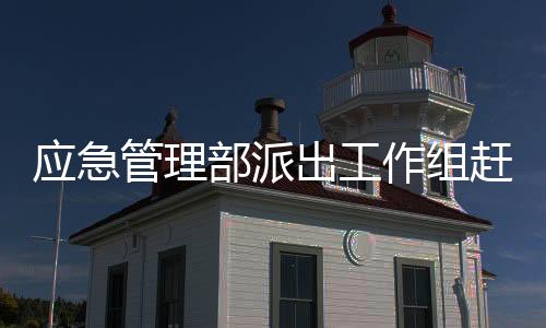 作组招远建强研判专班