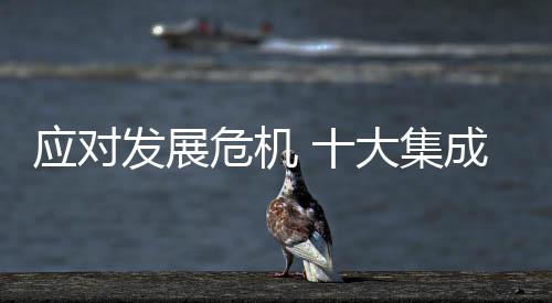 才能解决所面对的发展问题