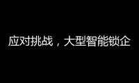应对挑战，大型智能锁企业要“刹住车”