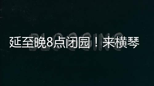 长隆梦幻场景让大家惊喜不已