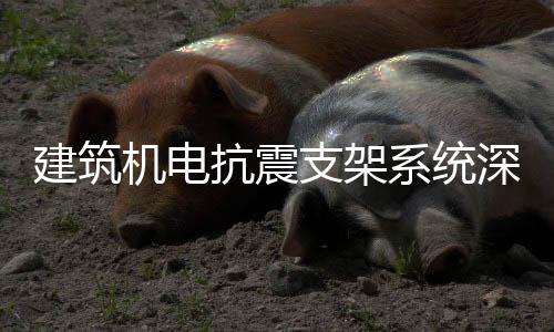 电等机电设备的支架抗震需求