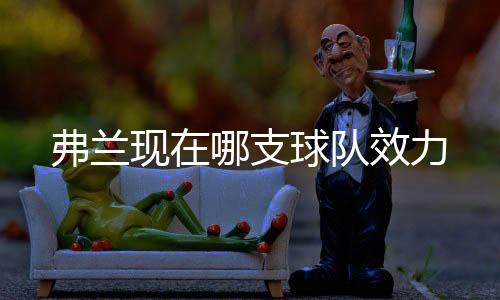 而是现支效力全体队员