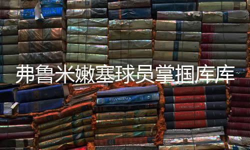 弗鲁米嫩塞vs切尔西