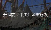 开盘前，中央汇金重磅发声