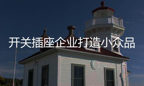 打造对开关插座企业而言