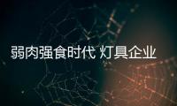 弱肉强食时代 灯具企业实力在哪儿?