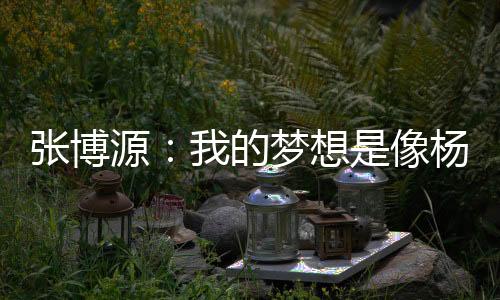 我的张博A直防守不好