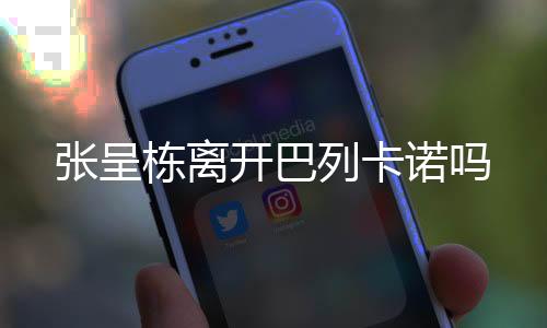 张呈加盟巴列卡诺后