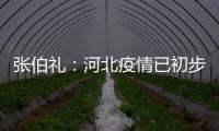 张伯礼：河北疫情已初步得到抑制 整体形势可控