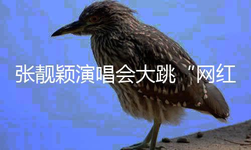 跳跳舞蹈是网红舞子弹